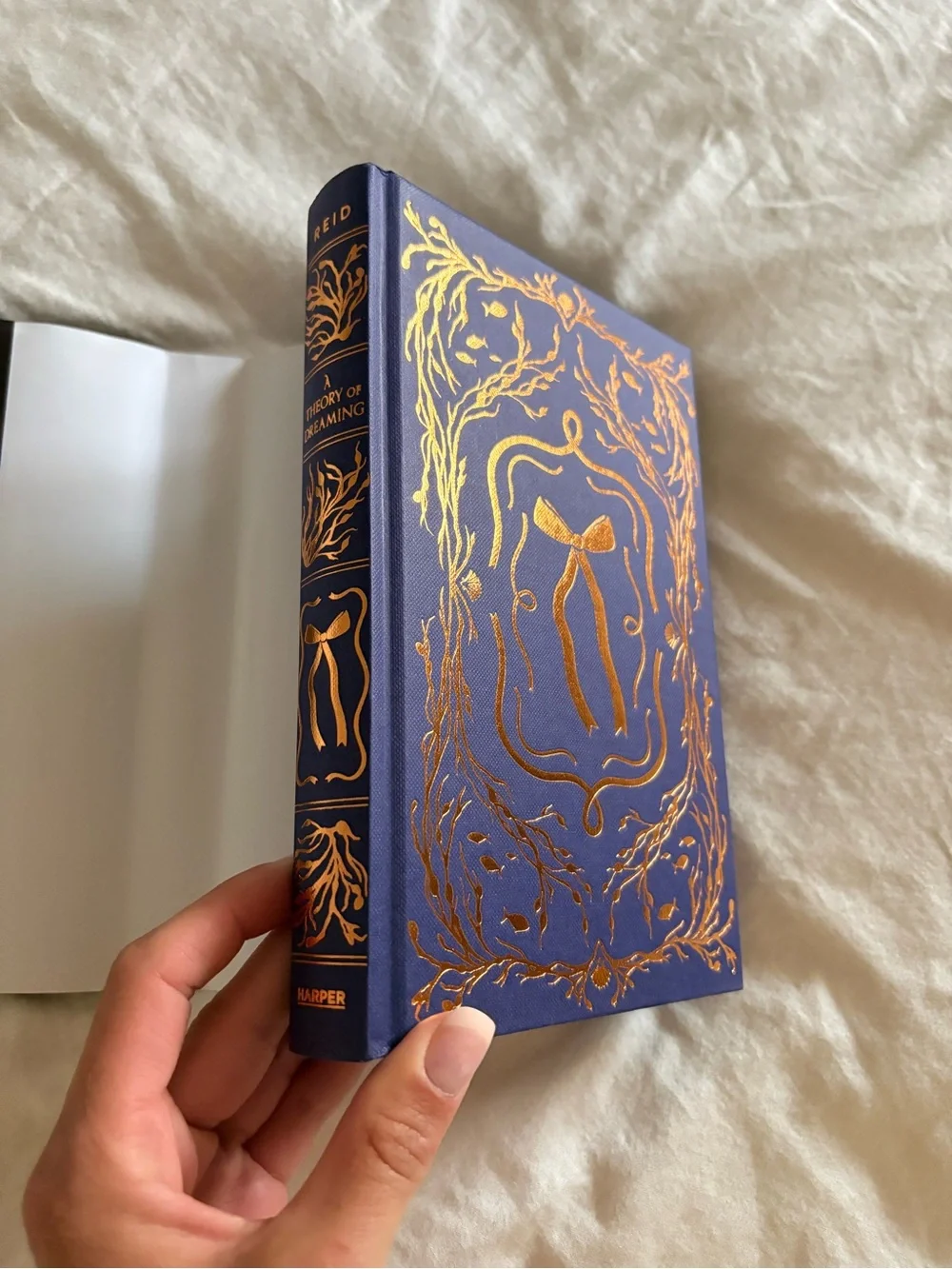A Theory of Dreaming sprayed edge by Ava Reid NEW
